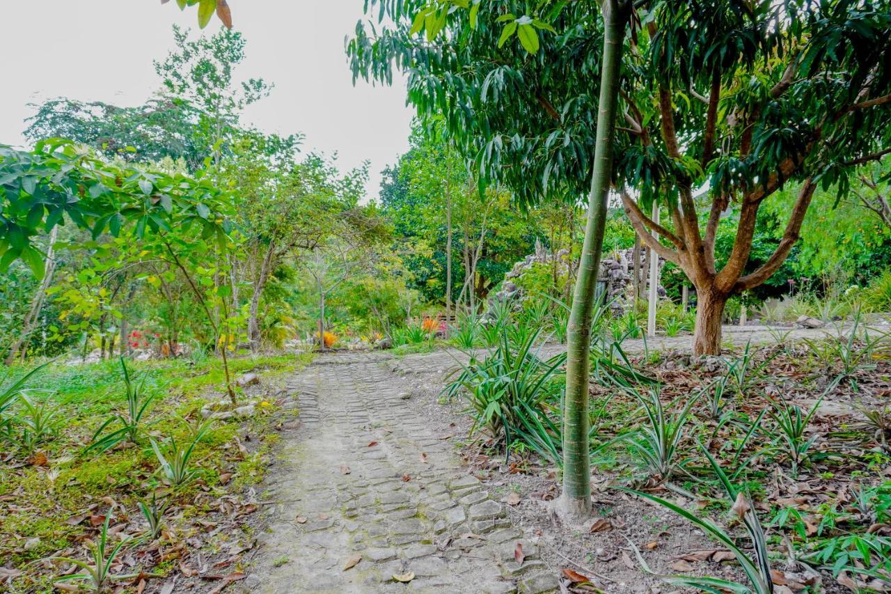 Pousada Kabana de Pedra Ibicoara Bagian luar foto